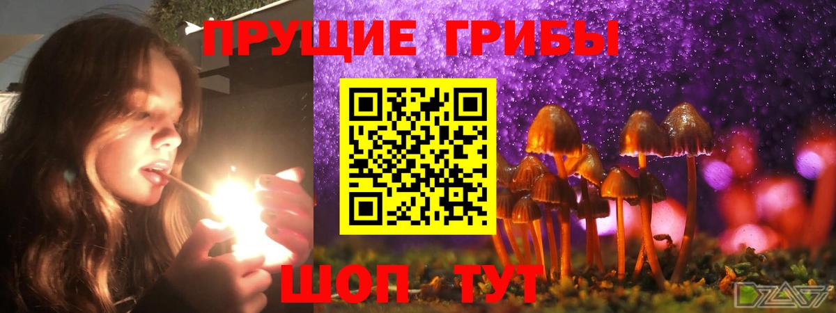 Псилоцибиновые грибы Magic Shrooms Коммунар